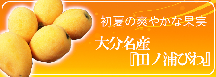 田ノ浦ビワ