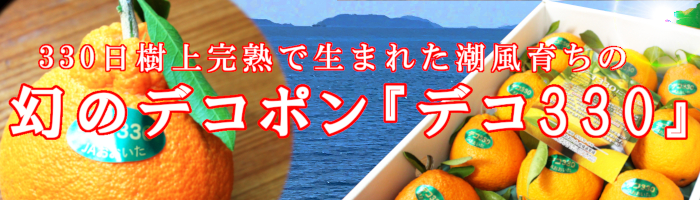 デコ330