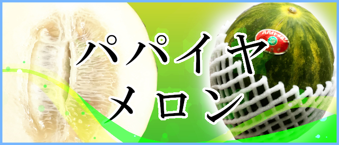 パパイヤメロンの食べごろは4月下旬！